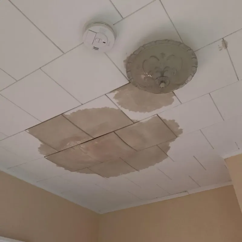 Ceiling Water Damage Repair in Dewart, PA
